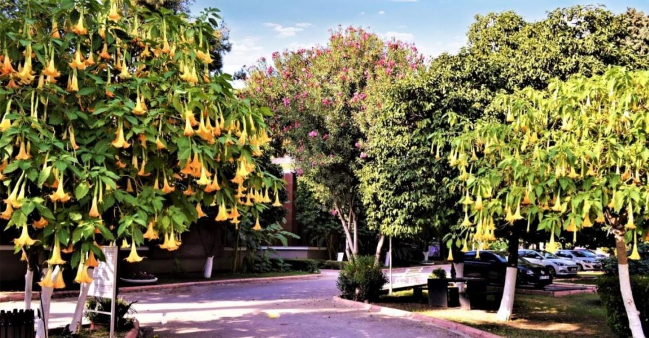 Cetinel Otel Adana Exterior photo